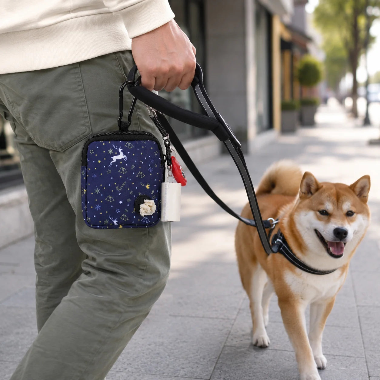 Waterproof Dog Treat Pouch with Training Clicker Poop Bag Holder and Carabiner for Walking