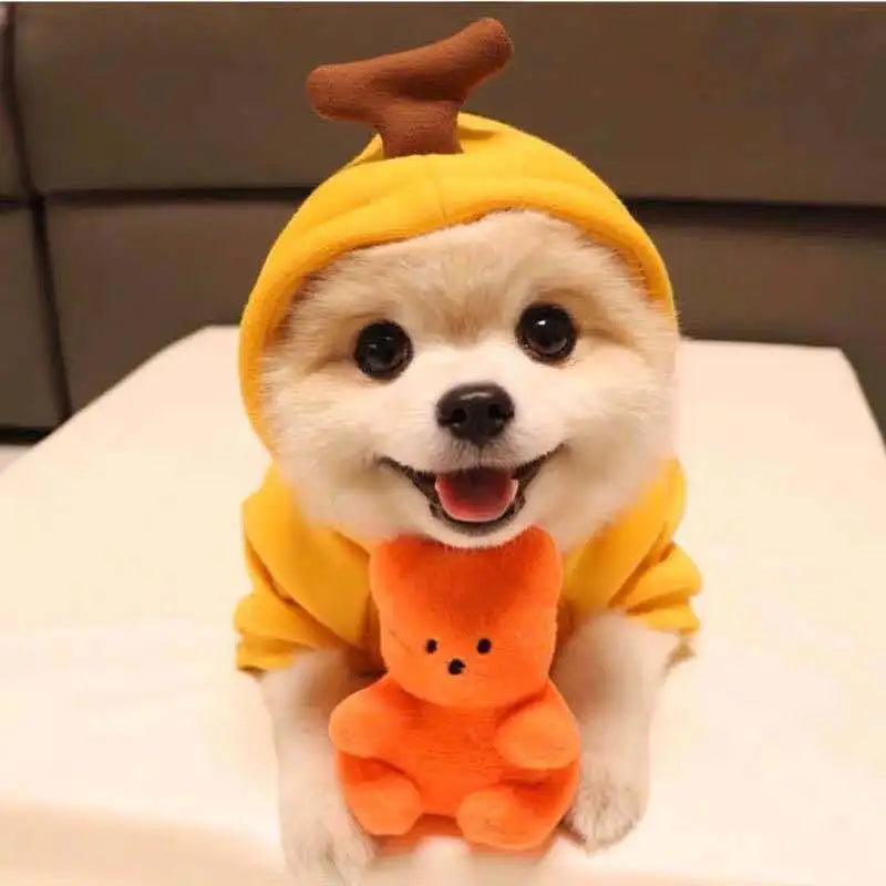 Cute Cartoon Fruit Frog Banana Carrot Pet Hoodie, Winter Warm Fleece Dog Clothes, Funny Cosplay Costume for Small Puppy Cat, Outfit for Chihuahua French Bulldog