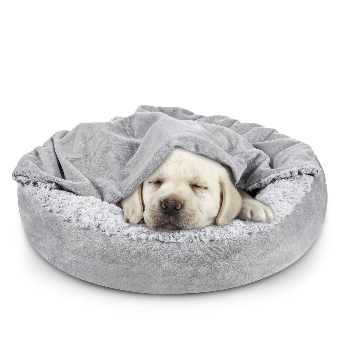 Pet Bedding