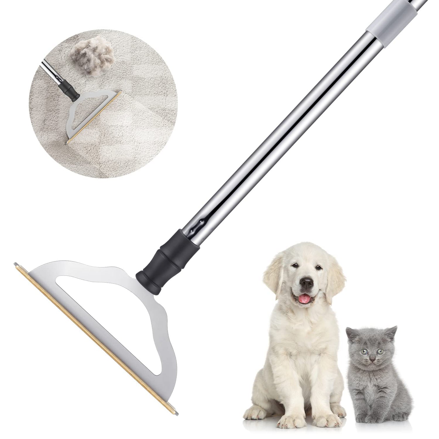 Pet Household Cleaning