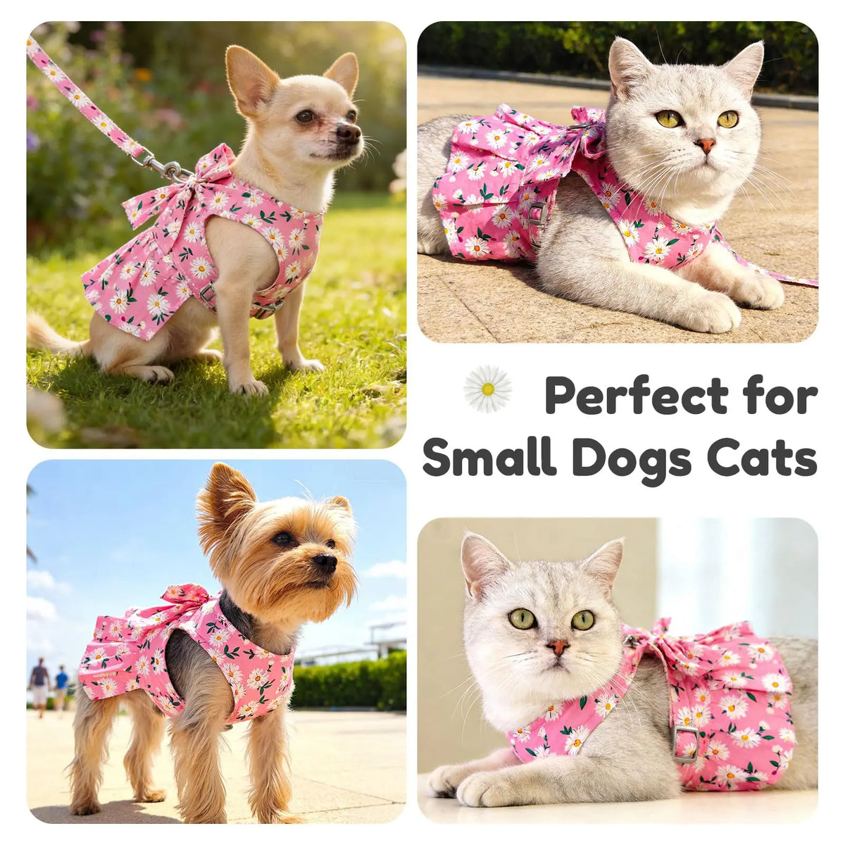Pet Clothes