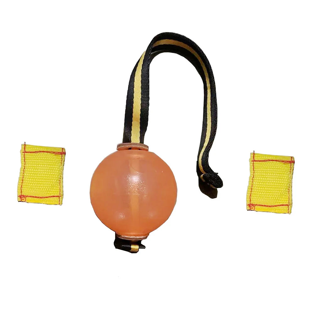 Dog Training Magnetic Ball, Orange/Blue Soft Ball with Rope