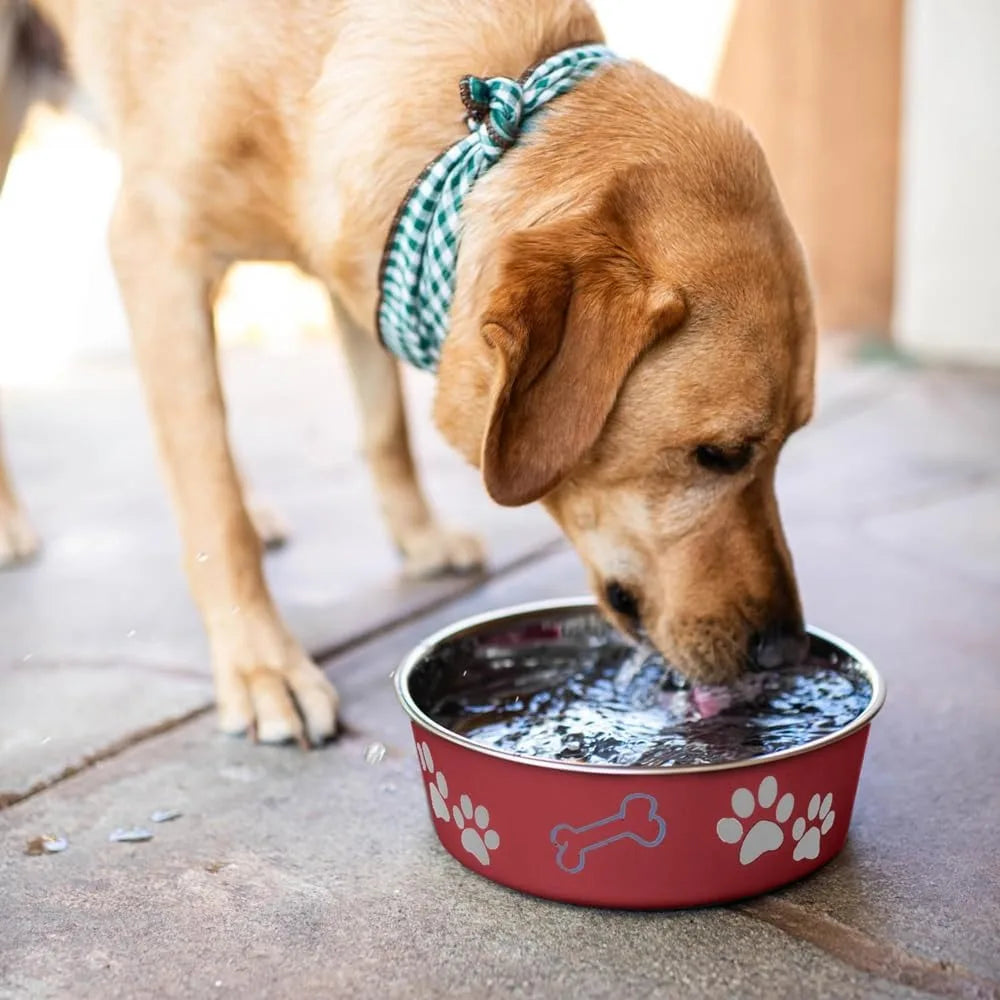 Spill Proof Non Skid Stainless Steel Pet Bowl for Dogs and Cats with Anti Slip Rubber Base Food and Water Feeder Dish for Home Kitchen Travel Car Outdoor Use Medium Size 20-35 lbs Capacity for Puppy Small Medium Pets