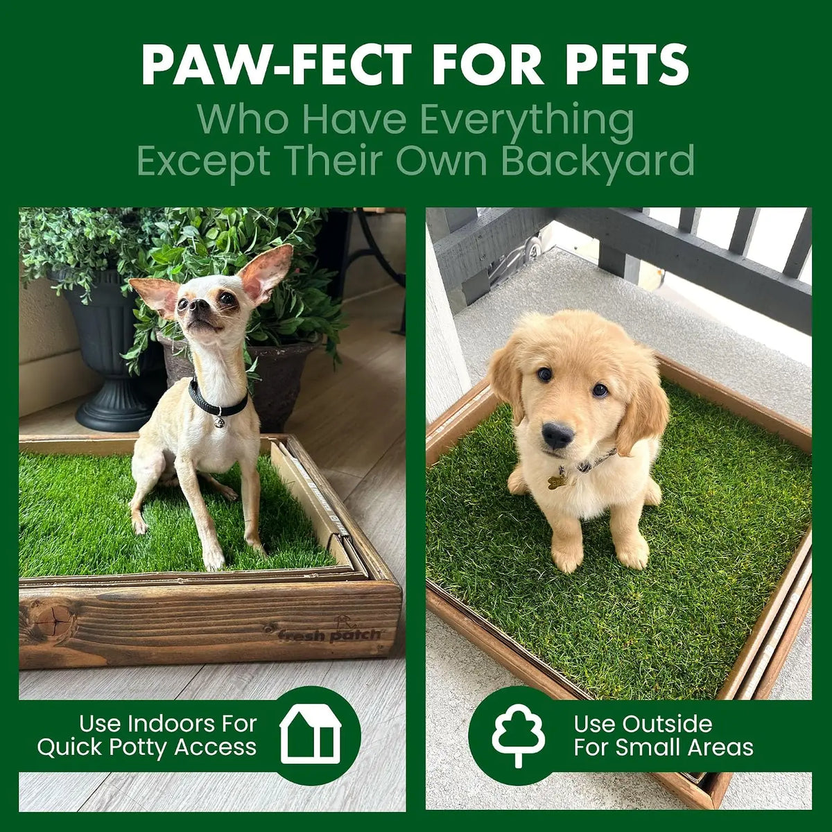 Fresh Patch Real Grass Patch for Dogs, Cats, and Extra Large Pets 30 Pounds and Above – Disposable Pet Grass Pee Pads – Indoor and Outdoor Potty Training Mat (24 Inches X 48 Inches)