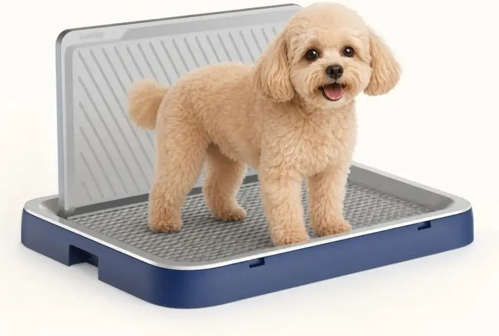 Indoor Dog Potty Tray, 19.9 X 15.4 in Pee Pad Holder with High Wall, Blue
