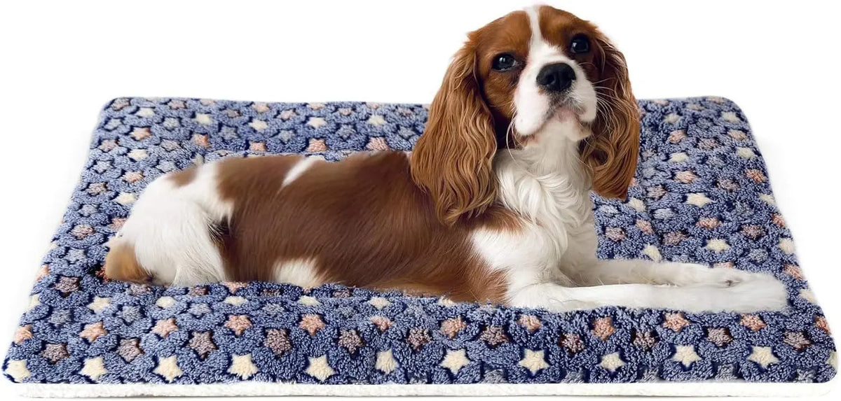 Mora Pets Dog Bed Crate Pad Ultra Soft Pet Bed with Cute Star Print Washable Crate Mat for Large Medium Small Dogs Reversible Fleece Dog Crate Kennel Mat Cat Bed Liner 22-Inch Grey