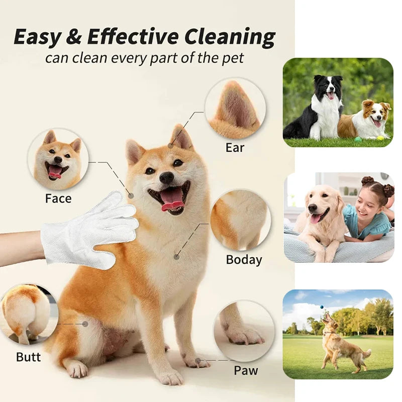 Pet No‑Rinse Glove Wipes for Cats & Dogs, Wash‑Free Disposable Grooming Gloves, Dry Bath Cleaning Wet Gloves Pet Supplies for Bathing Deodorizing