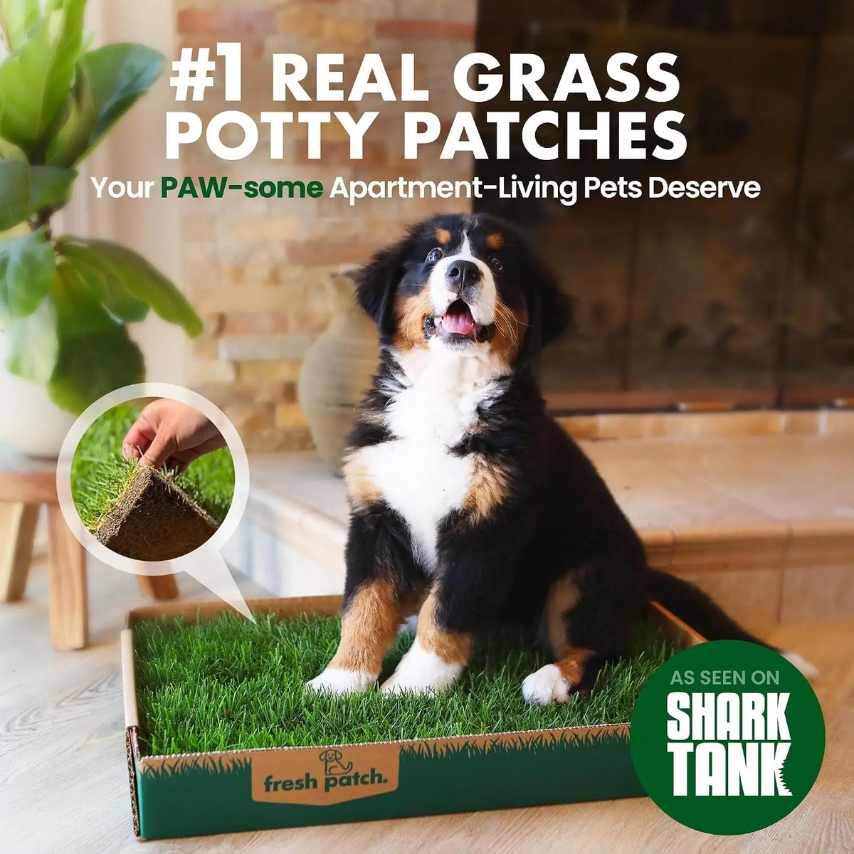 Fresh Patch Real Grass Patch for Dogs, Cats, and Extra Large Pets 30 Pounds and Above – Disposable Pet Grass Pee Pads – Indoor and Outdoor Potty Training Mat (24 Inches X 48 Inches)
