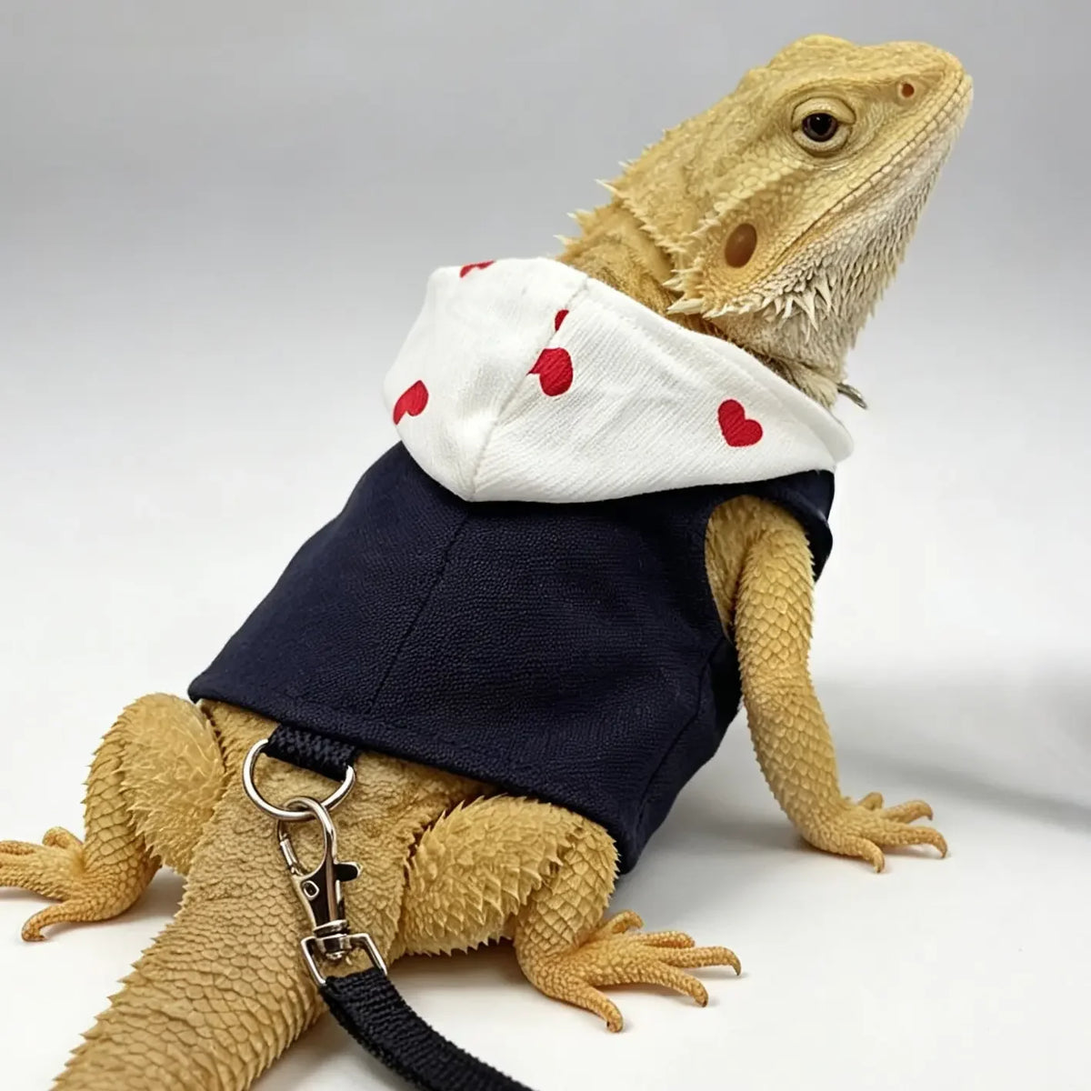 Two-In-One Lizard Clothes + Harness And Leash Set, Pet Costume for Small Animals, Ideal for Outdoor Adventures, Pet Accessories