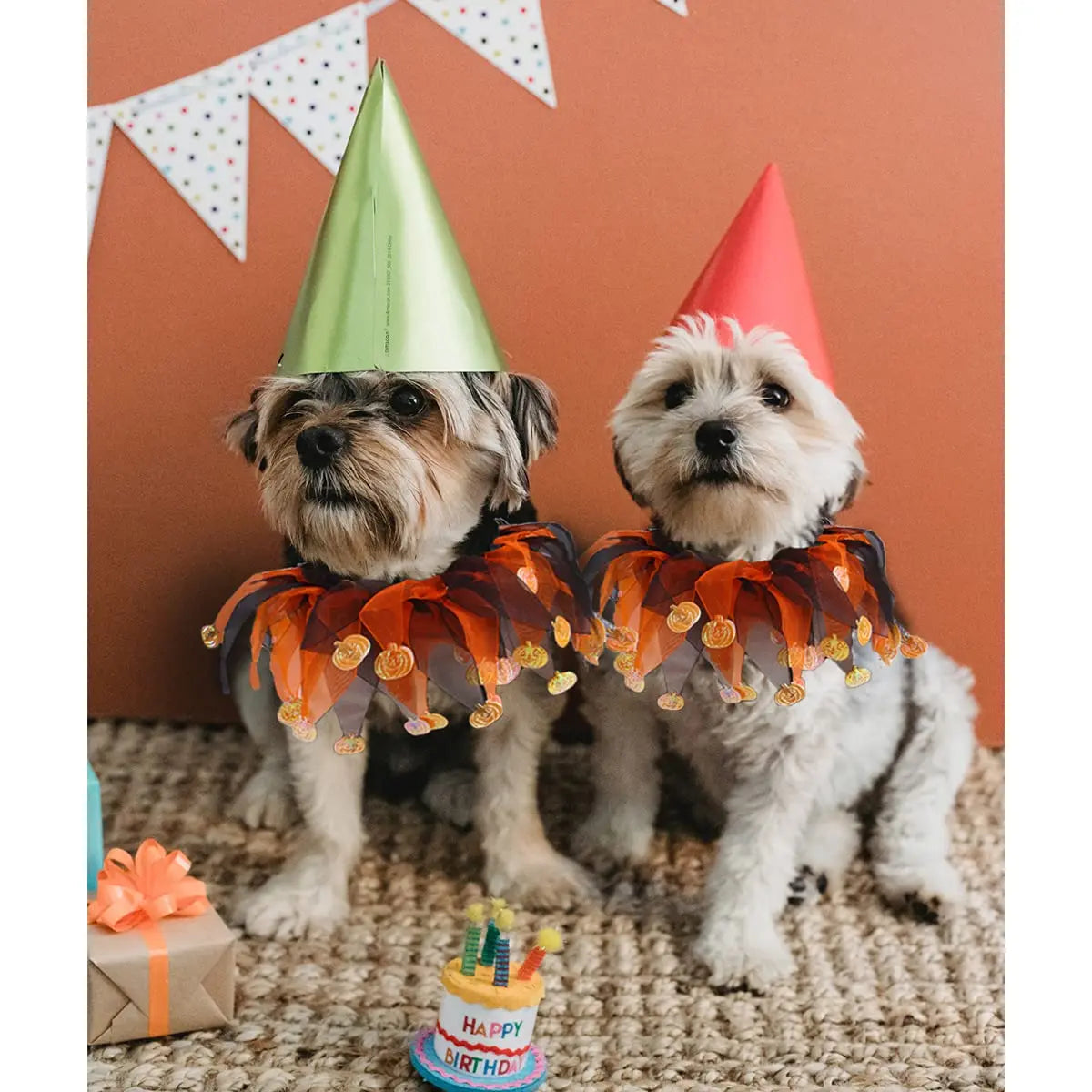 Cat Witch Halloween Costume Suit,  Small Dogs & Cats Tutu Collar and Witch Pumpkin Hat Cute Costume Suit Kitten Outfit Clothing for Birthday Party Thanksgiving Christmas Holiday