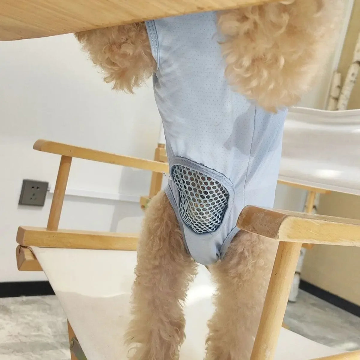 1pc Dog Anti-People Clothing, Mother Cat Breathable Spay Clothes, Puppy Weaning Suit, Post-Operation Anti-Licking Gear