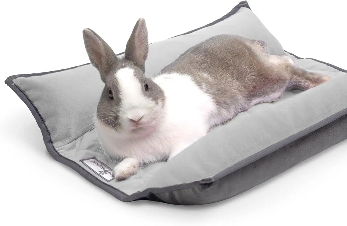 Paw Inspired Snuggle Bunny Bolster Bed, Gray/Green, 17x17 Inch
