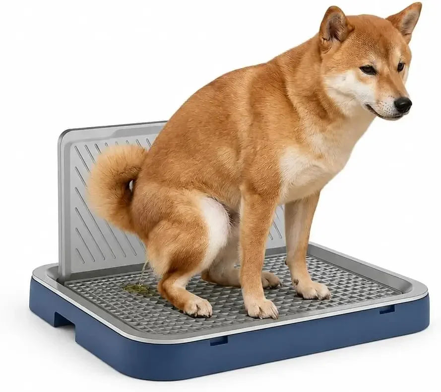 Indoor Dog Potty Tray, 19.9 X 15.4 in Pee Pad Holder with High Wall, Blue