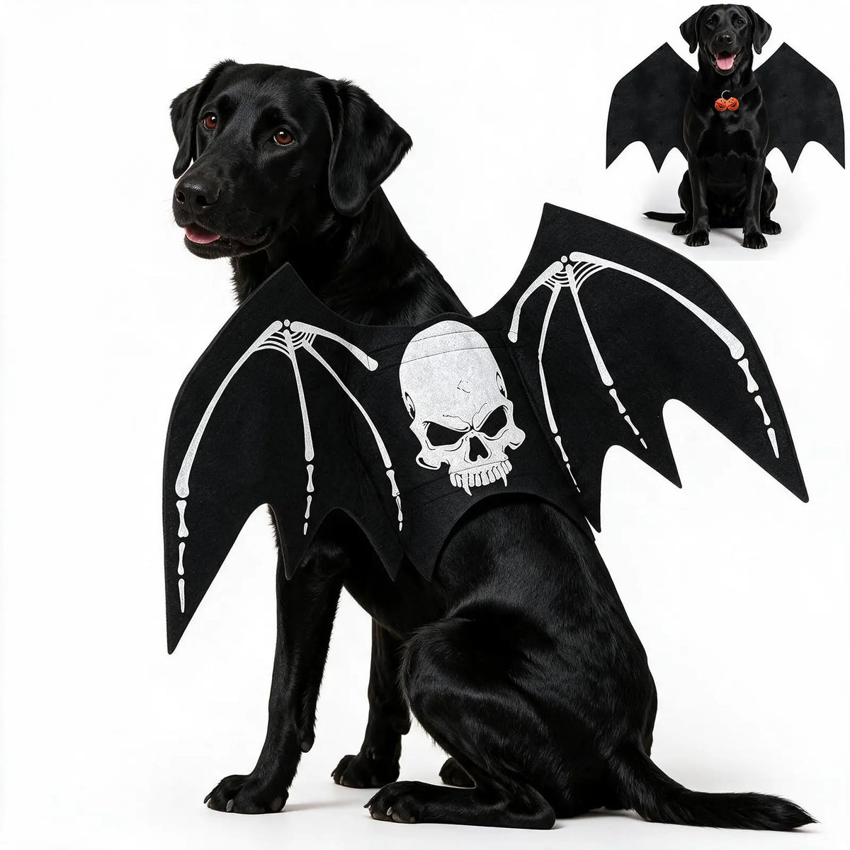 Halloween Dog bat Wing Costumes L，pet Costumes for Halloween Party Skeleton Print On The Back，Pumpkin Bell，Neck & Chest Adjustable nylon Straps，Lightweight Felt Comfort,for large dogs
