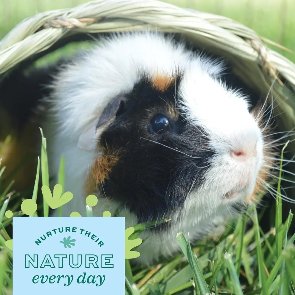 Small Pet Timothy Hay Chew Tunnel, Edible Cage Accessory for Rabbits Guinea Pigs Hamsters for Play and Teeth Maintenance
