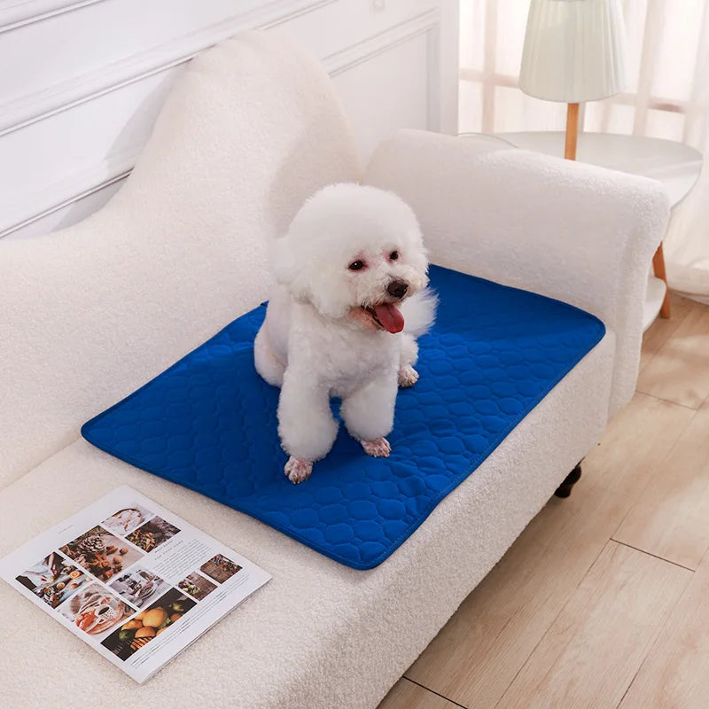 Reusable Washable Dog Pee Pad Blanket Super Absorbent Puppy Training Urine Mat Multi Functional Pet Bed Pad And Pet Car Seat Cover For Indoor And Travel Pet Supplies