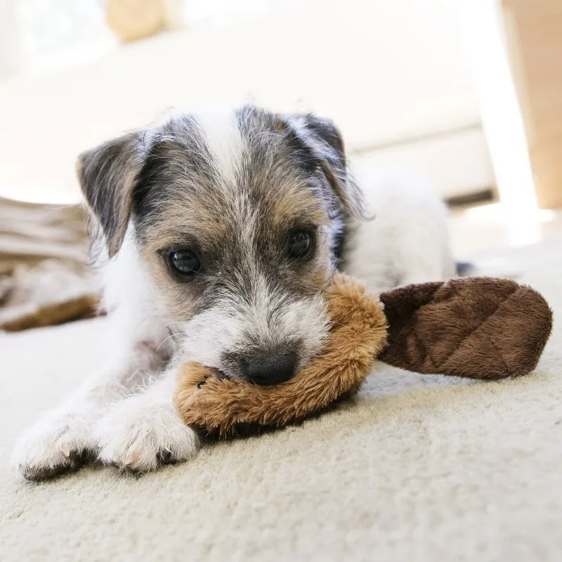 Dog Toy with Squeaker, Beaver, Small for Dogs Up to 20 lbs
