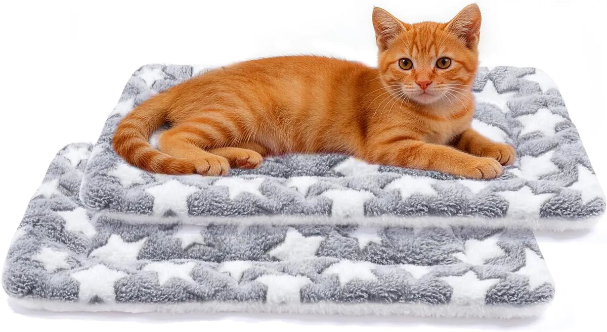Mora Pets Dog Bed Crate Pad Ultra Soft Pet Bed with Cute Star Print Washable Crate Mat for Large Medium Small Dogs Reversible Fleece Dog Crate Kennel Mat Cat Bed Liner 22-Inch Grey