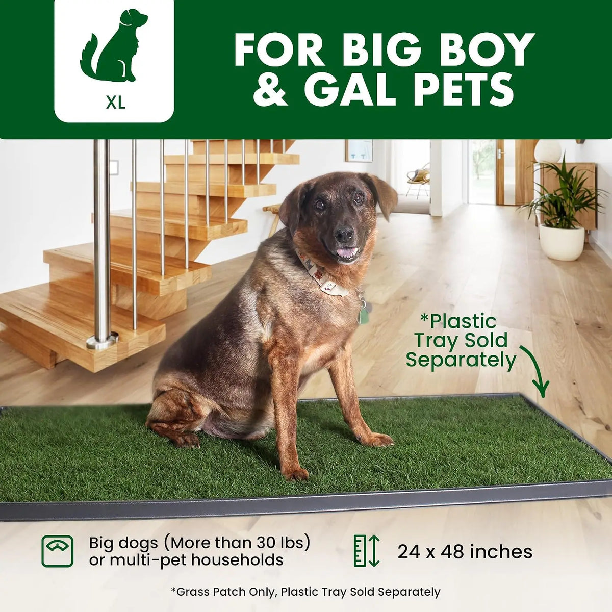 Fresh Patch Real Grass Patch for Dogs, Cats, and Extra Large Pets 30 Pounds and Above – Disposable Pet Grass Pee Pads – Indoor and Outdoor Potty Training Mat (24 Inches X 48 Inches)