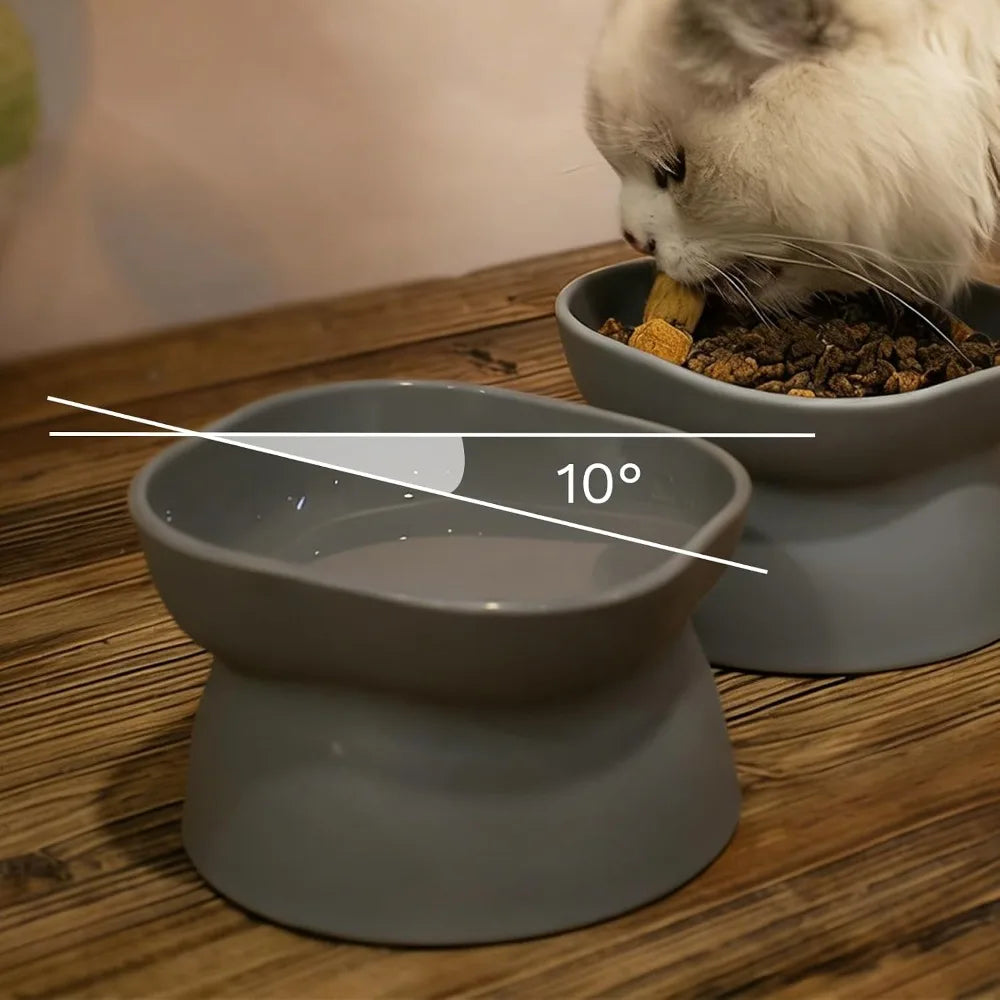 Double Sided Cat Food and Water Bowl Set for Indoor Cats Non Slip Pet Feeding Dishes with Elevated Stand for Small Dogs and Cats Anti Vomiting Slow Feeder Design Grey Color Modern Durable Ceramic Style Easy Clean Non
