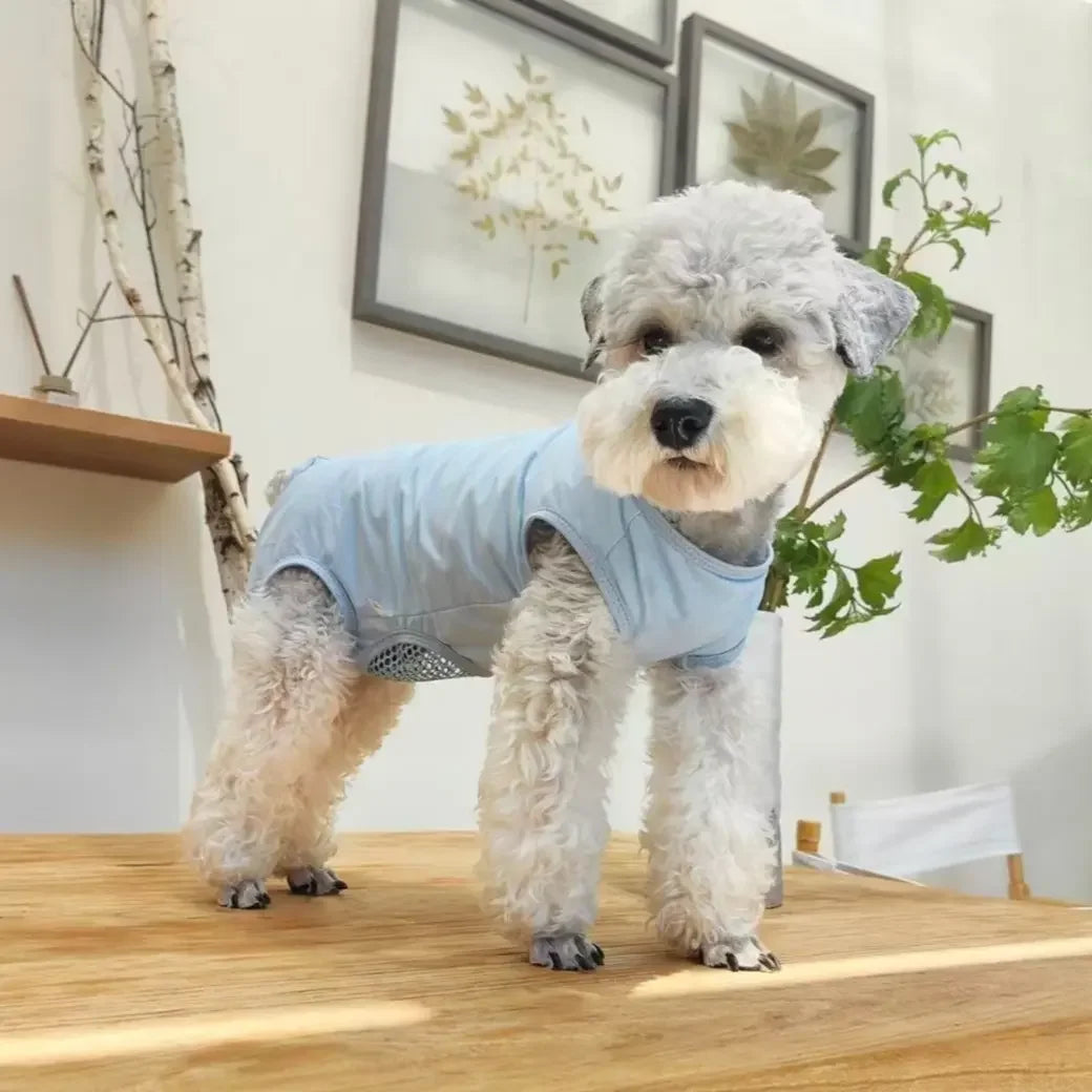 1pc Dog Anti-People Clothing, Mother Cat Breathable Spay Clothes, Puppy Weaning Suit, Post-Operation Anti-Licking Gear