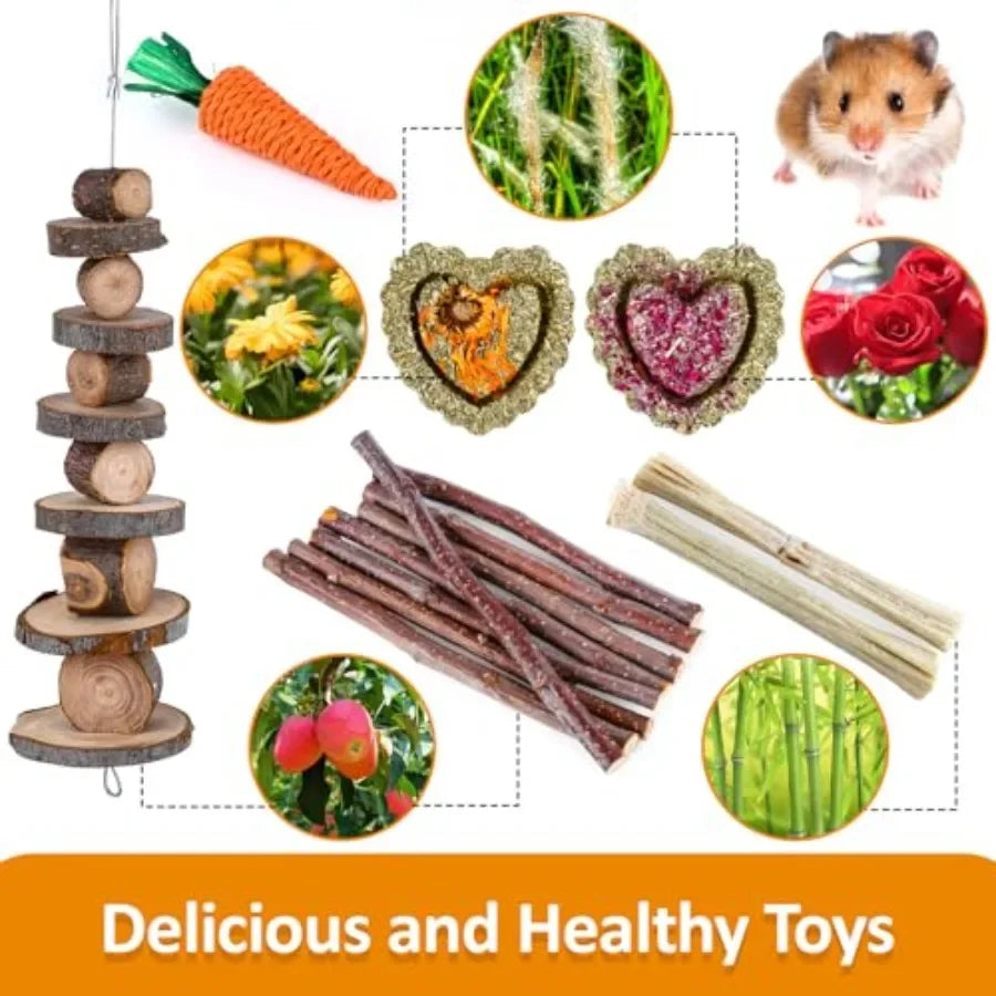 Hamster Toys Set, Guinea Pig Toys Bunny Small Animal Chewing Toy for Cage Chinchillas, Gerbils, Rats, Rabbit Rodents Teeth Care