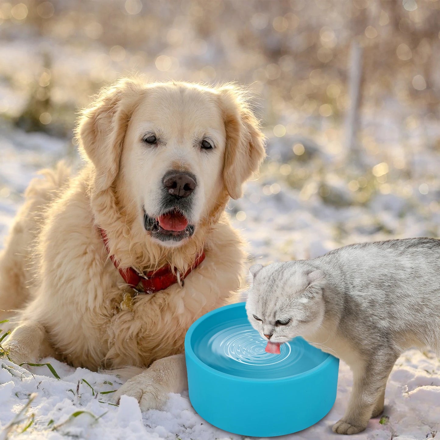 Outdoor Thermal Pet Bowl 108 Oz Heated Pet Water Bowl Outdoor Heated Dog Dish Provides Drinkable Water in Winter for Dog & Cat