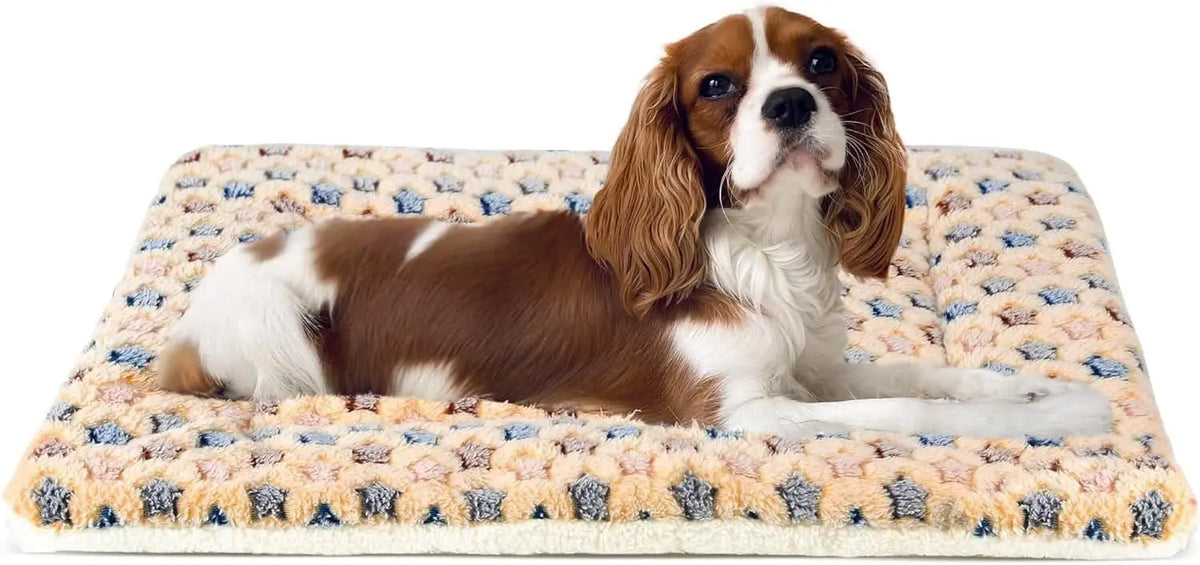Mora Pets Dog Bed Crate Pad Ultra Soft Pet Bed with Cute Star Print Washable Crate Mat for Large Medium Small Dogs Reversible Fleece Dog Crate Kennel Mat Cat Bed Liner 22-Inch Grey