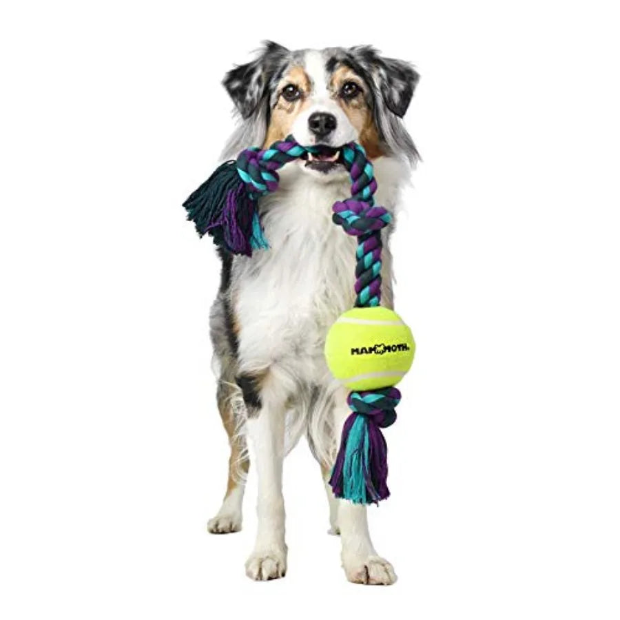 Mammoth Flossy Chews Color 3 Knot Tug w/Standard Tennis Ball Premium Cotton-Poly Tug Toy for Dogs, Interactive Rope Dog Toy for