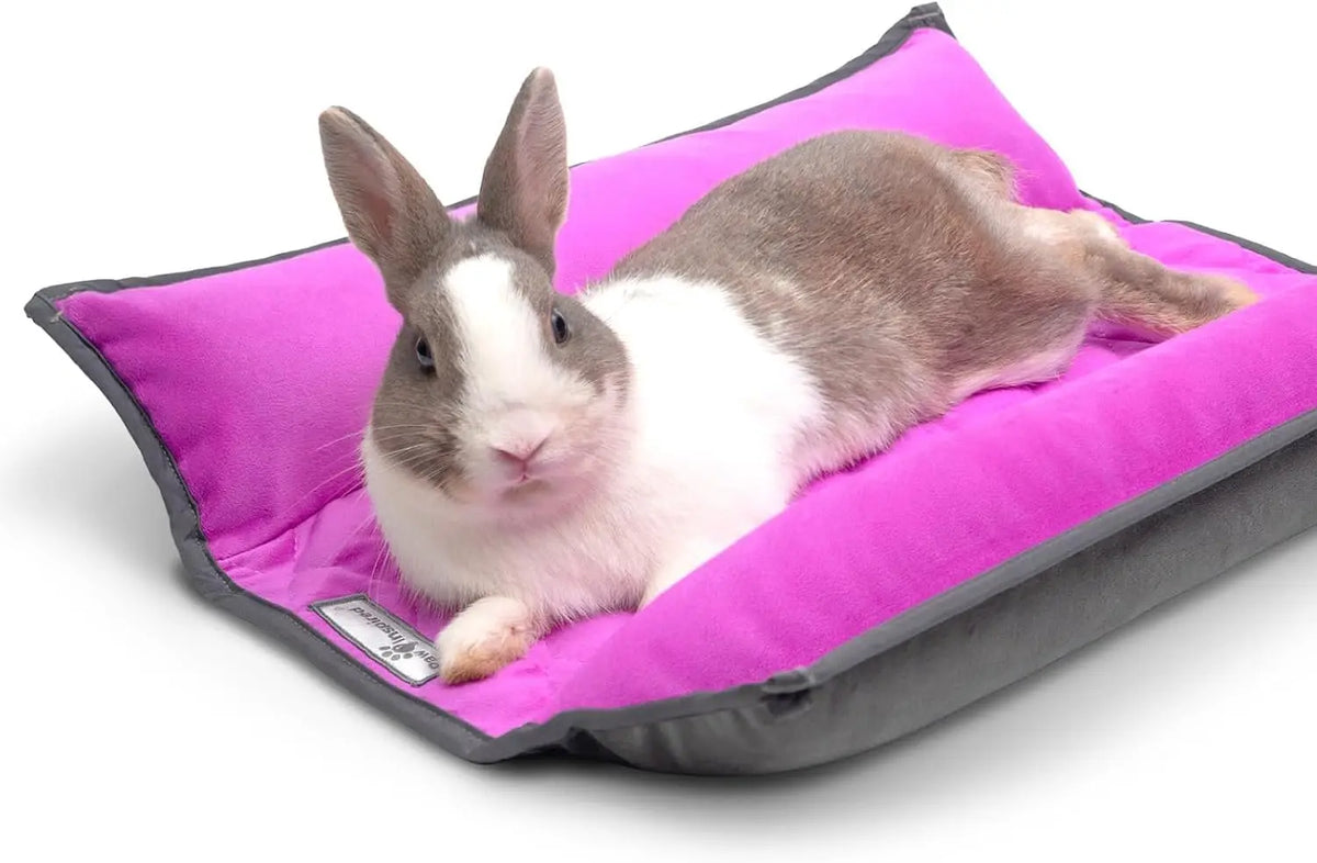 Paw Inspired Snuggle Bunny Bolster Bed, Gray/Green, 17x17 Inch