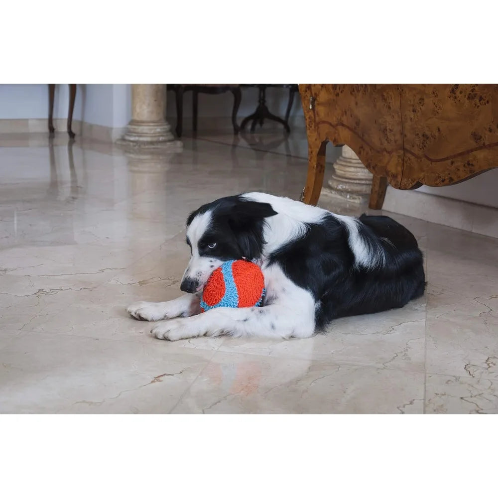 Interactive Dog Toy Roller Ball for Indoor Play Boredom Relief Chew Teething Puppy Small Medium Dogs 7.5 Inch Orange Blue Pet Training Fun