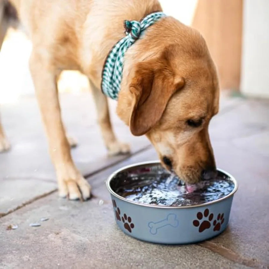 Stainless Steel Dog and Cat Bowls - Spill Proof Dog Food Bowl, Cat Bowl, Puppy Essentials and Pet Supplies Gr