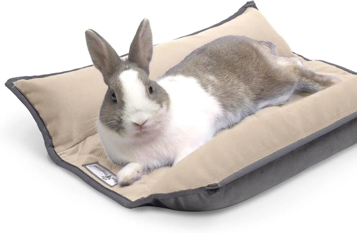 Paw Inspired Snuggle Bunny Bolster Bed, Gray/Green, 17x17 Inch