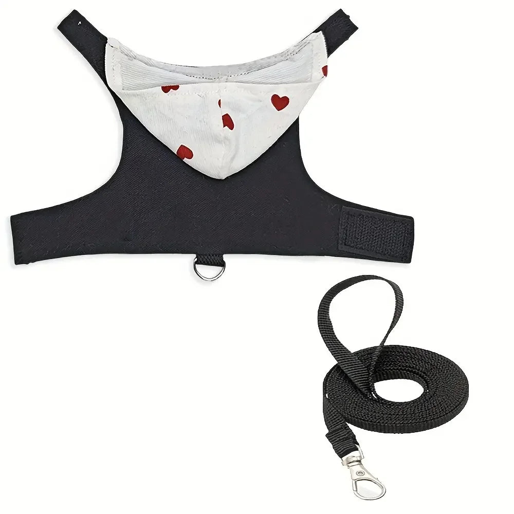 Two-In-One Lizard Clothes + Harness And Leash Set, Pet Costume for Small Animals, Ideal for Outdoor Adventures, Pet Accessories