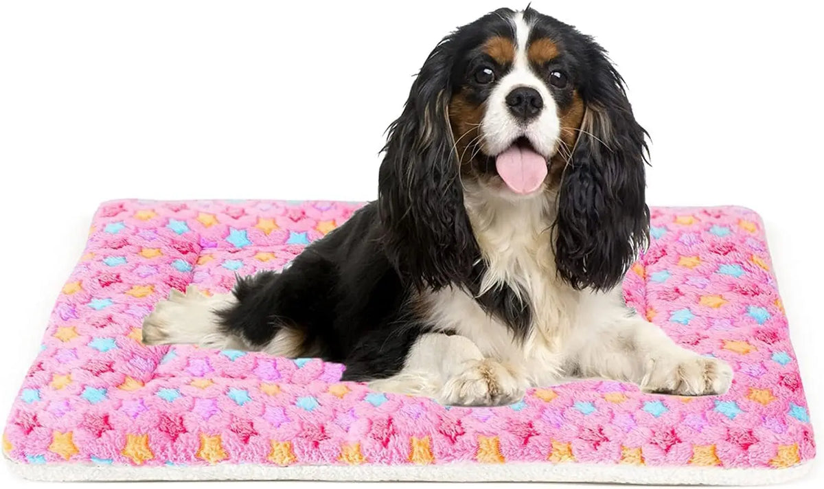 Mora Pets Dog Bed Crate Pad Ultra Soft Pet Bed with Cute Star Print Washable Crate Mat for Large Medium Small Dogs Reversible Fleece Dog Crate Kennel Mat Cat Bed Liner 22-Inch Grey