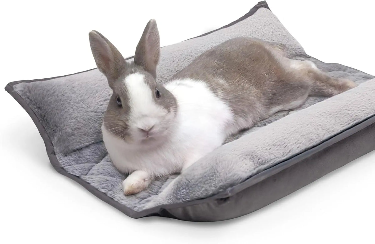 Paw Inspired Snuggle Bunny Bolster Bed, Gray/Green, 17x17 Inch