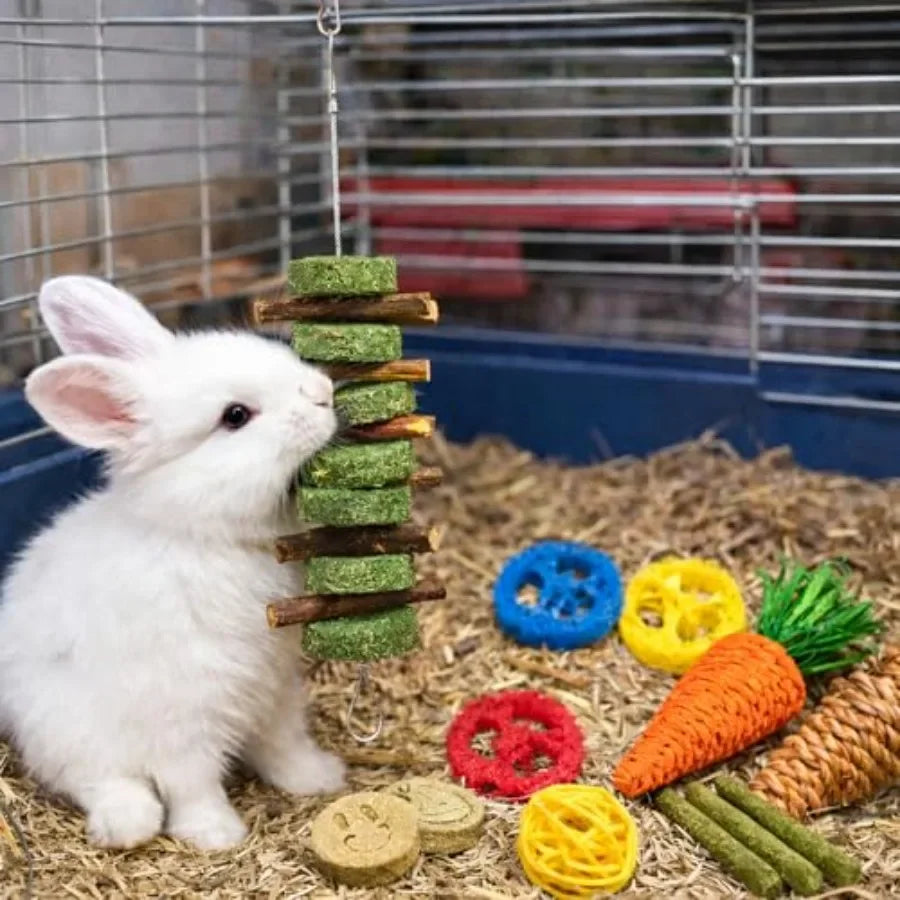 20 PCS Bunny Chew Toys for Teeth, Natural Rabbit Toys Apple Wood Grass Timothy Sticks Chew and Treat for Guinea Pigs Hamster Ch