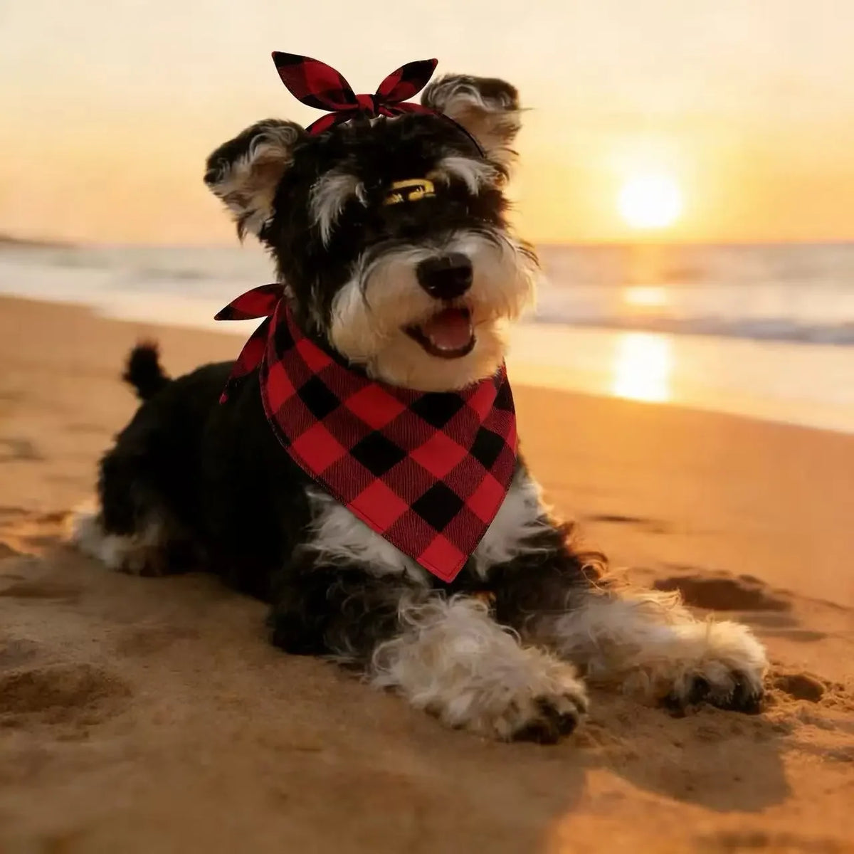 Soft Washable Plaid Pet Scarf Set, 2 Pieces, Suitable for Dogs and Cats, Perfect for Birthday Parties and Special Occasions