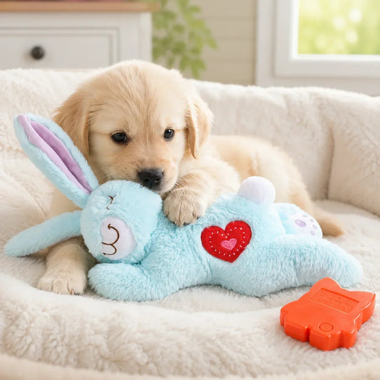 Bunny Plush Dog Heartbeat Toy Puppy Anxiety Relief Calming Sleep Aid Comfort Pillow for Crate Training Small Puppies