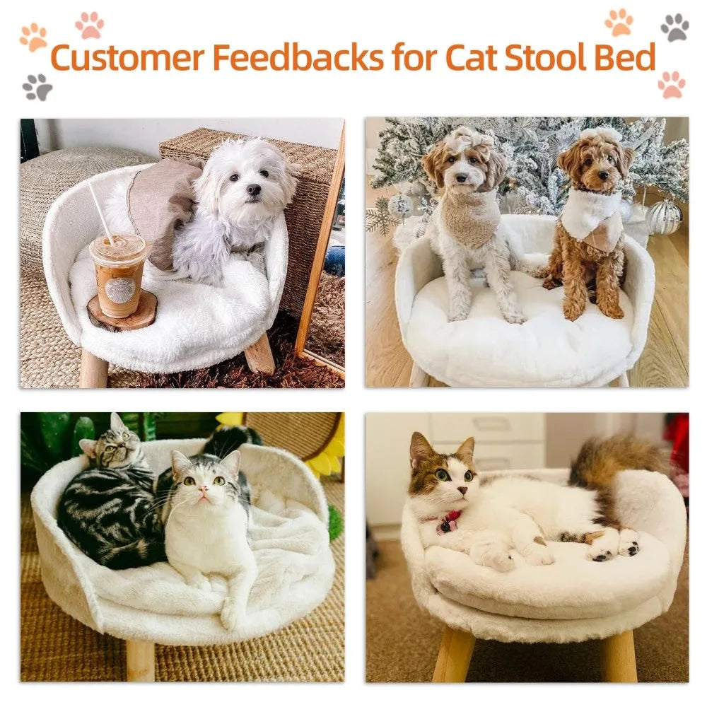 Ultra Soft Elevated Dog Cat Sofa Bed Couch Pet Puppy Chair Backrest Stool Seat Lounger with Removable Waterproof Padded Cushion