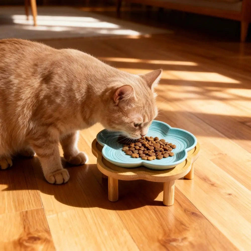 Flower Ceramic Pet Feeding Bowl With Bamboo Stand, Elevated Cat Bowl, Wide Shallow, AntiVomit, WhiskerFriendly Raised Dish For