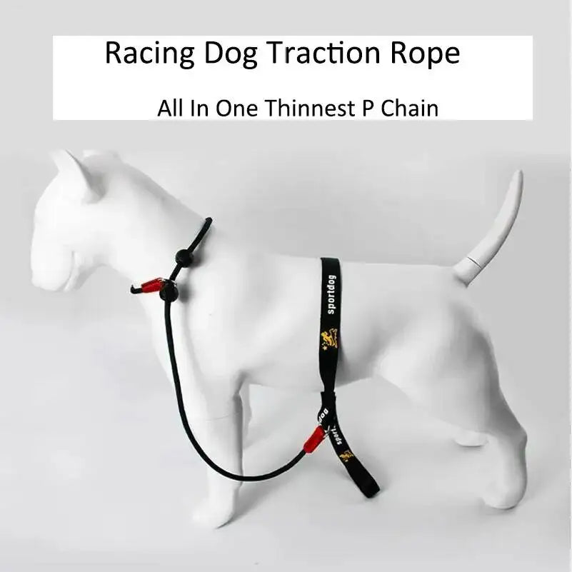 Training Dog Choking Rope 2 In 1 Collar 150Cm P-Shaped Chain Slip Lead Control Leash For Small Large Competition Dogs
