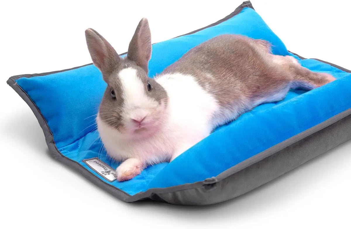 Paw Inspired Snuggle Bunny Bolster Bed, Gray/Green, 17x17 Inch