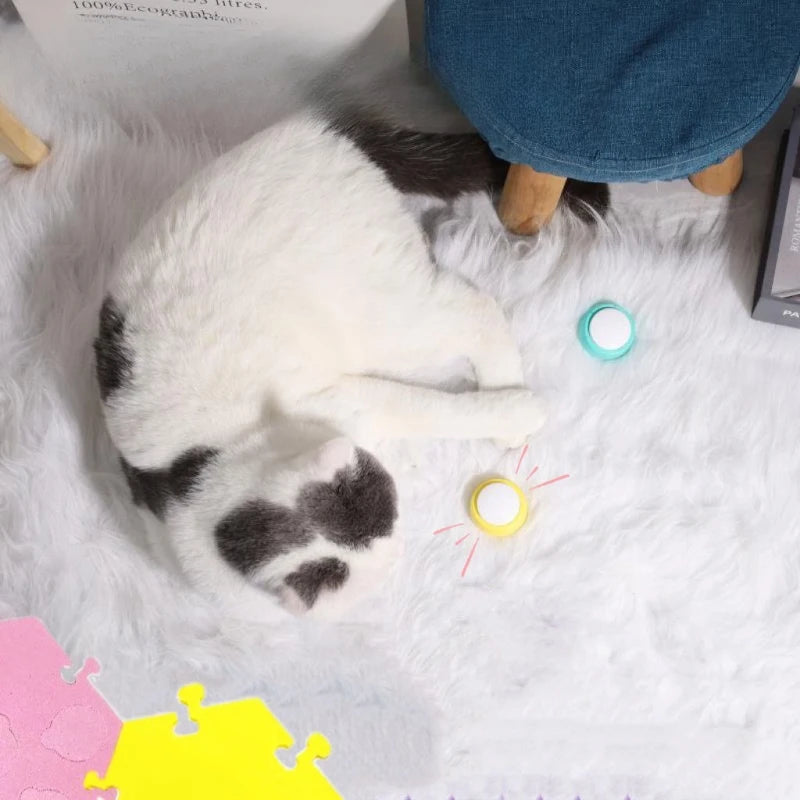 Pet Communication Dog Talk Button Mats Training Positioning Cat Exchange Buttons Cushion Special Mini Version Button Pads
