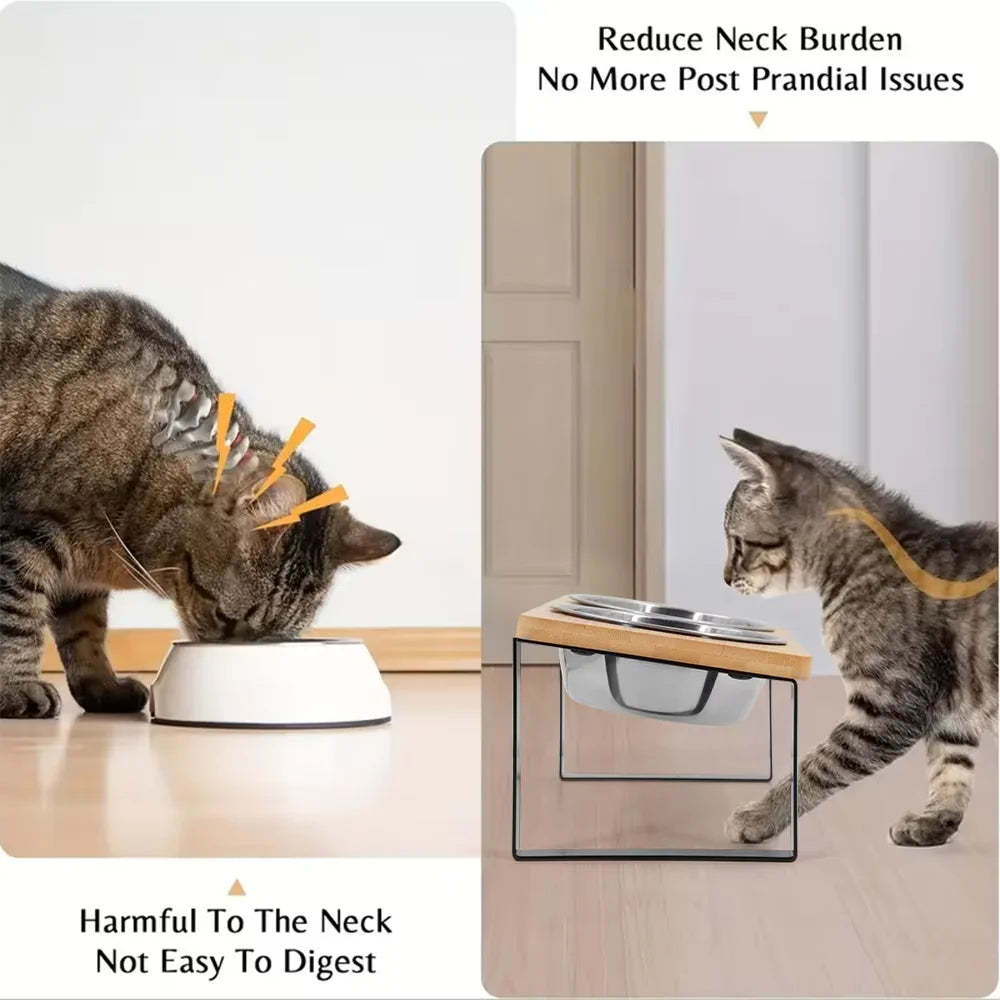 Elevated Cat Bowls 15° Tilted Raised Cat Food Bowls with Wooden Stand Anti Vomiting 2 Stainless Steel Bowls and Mat Set for Cats Puppy