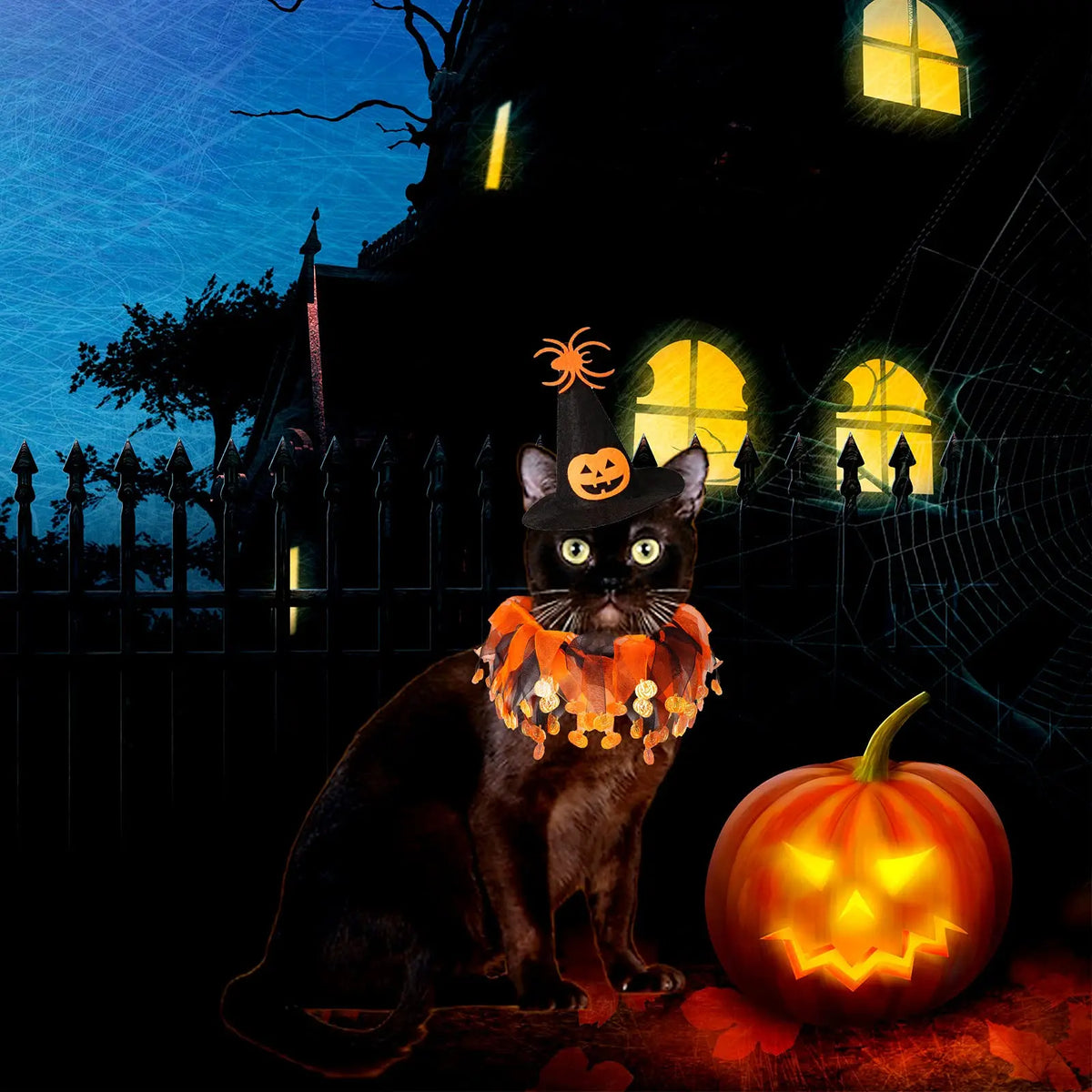 Cat Witch Halloween Costume Suit,  Small Dogs & Cats Tutu Collar and Witch Pumpkin Hat Cute Costume Suit Kitten Outfit Clothing for Birthday Party Thanksgiving Christmas Holiday
